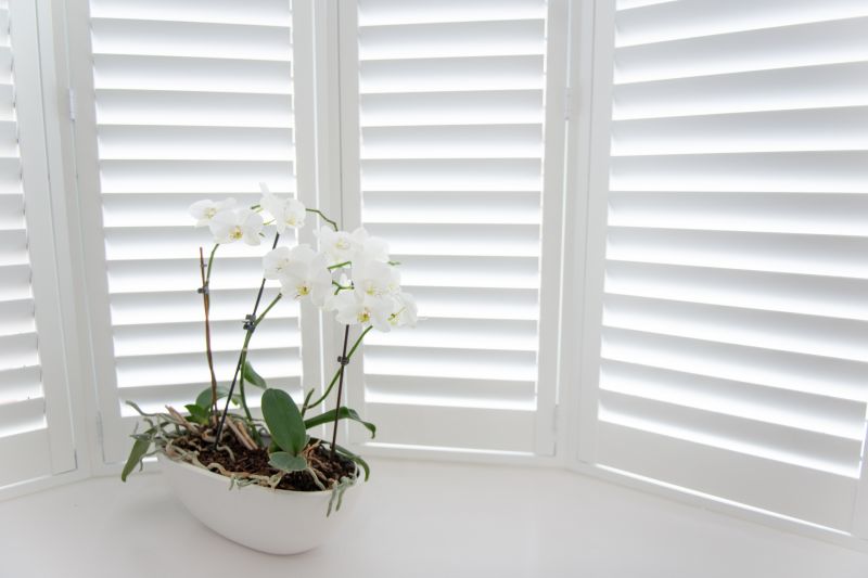 Shutters Replacement in Overland Park, KS